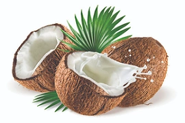 Is Coconut Protein Powder Good for You?